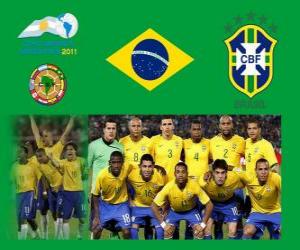 пазл Сборная Бразилии, Группа B, Аргентина 2011